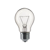 Лампа накаливания 100W 