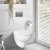 Кнопки Scala Chrome Glossy Dual Flush Bien Banyo Кнопки Scala Chrome Glossy Dual Flush Bien Banyo