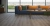 Ламинат Kastamonu Floorpan Orange, Дуб Сан-Марино – FP953, 1380x195x8 мм, 32 класс